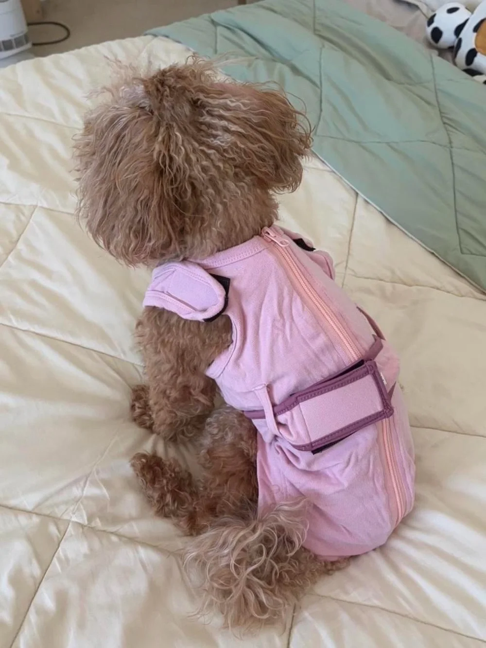 Pink & Purple Jumpsuit for small-medium sized dogs